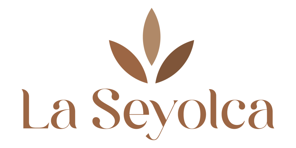 LA SEYOLCA SL